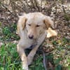 GINA 🧡🧡🧡 sucht Familienanschluss