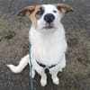 BUBBLES - liebe Seele sucht Endstelle