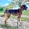 Lieber,sportlicher Mischa