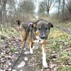 Lieber,sportlicher Mischa