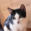Geschwister Duo sucht neues Zuhause