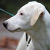Biba sucht ein neues Zuhause
