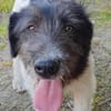 Oskar will die Welt entdecken