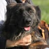 Mia - wartet auf ein warmes Körbchen