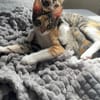 Malina und Ljuba aus dem Tierschutz