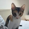 Malina und Ljuba aus dem Tierschutz