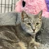 MISSY en SOS URGENT