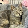 MISSY en SOS URGENT