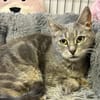 MISSY en SOS URGENT