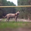 jumpy