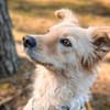 Gnocchi sucht eine aktive Familie