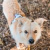 Gnocchi sucht eine aktive Familie