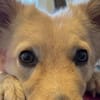 Gnocchi sucht eine aktive Familie