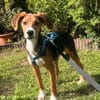 Lotti sucht ihre Familie