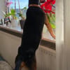Ernie wartet und wartet.........