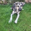 Mario - ein Jungspund