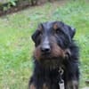 Speedy, su. aktive Besitzer