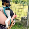 Sonnenschein Leonie - Zuhause gesucht