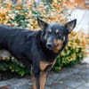 HERO - Wird er dein neuer Held?