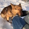 Sima wartet auf Ihre Familie