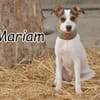 Darf Mariam die Welt bunt machen