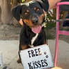 ROSCO (Maria)