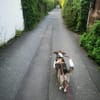 Rosie sucht ihre Menschen
