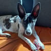 Franka❤ sucht ihre Familie