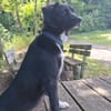 💙Lucky💙 sucht seine Familie
