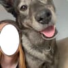 OSKAR - Er war halb erfroren in Jakutsk