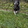 OSKAR - Er war halb erfroren in Jakutsk