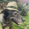 OSKAR - Er war halb erfroren in Jakutsk