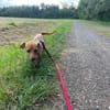 Nelly, will noch viel lernen