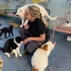 Viele arme Seelen suchen ein Zuhause