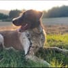 Rudi sucht zweite Chance