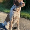 Rudi sucht zweite Chance