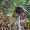 Rudi sucht zweite Chance