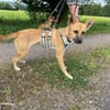 Lani will noch viel lernen