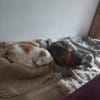 Wem kann ich vertrauen? - LILY
