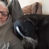 Spike sucht Zuhause in ländlicher Umgebu