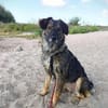 Ally, die Zauberhafte