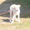 Zeus - freundlich, aufgeschlossen, sucht
