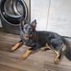 Herr Hüter su. aktives Zuhause