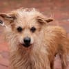 ***LILLY - fitte Seniorin!***