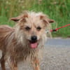 ***LILLY - fitte Seniorin!***