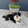 Knutschkugel Luna