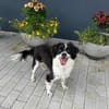 Knutschkugel Luna