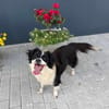 Knutschkugel Luna