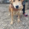 Flash auf Pflegestelle in Dortmund