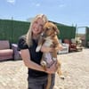 Kleine Bailey sucht ab Nov ein zu Hause